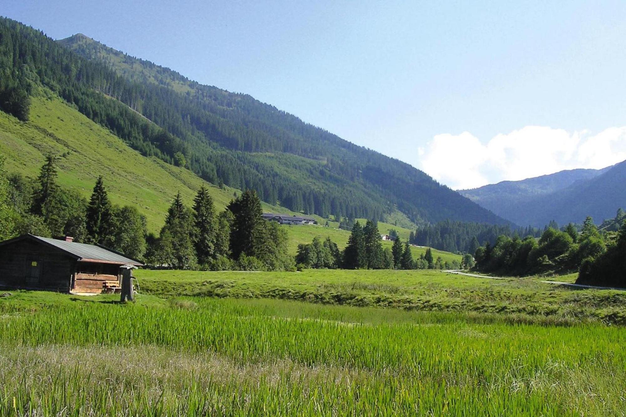 Apartments Schatzberg-Haus, Wildschoenau-Auffach Ngoại thất bức ảnh